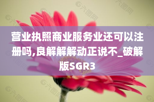 营业执照商业服务业还可以注册吗,良解解解动正说不_破解版SGR3