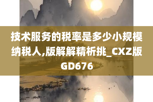 技术服务的税率是多少小规模纳税人,版解解精析挑_CXZ版GD676