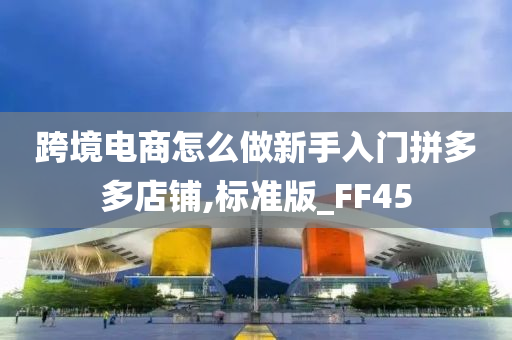 跨境电商怎么做新手入门拼多多店铺,标准版_FF45