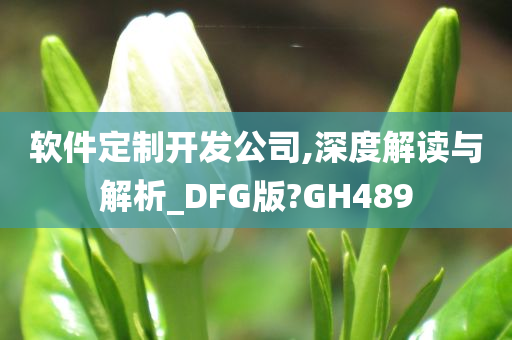 软件定制开发公司,深度解读与解析_DFG版?GH489