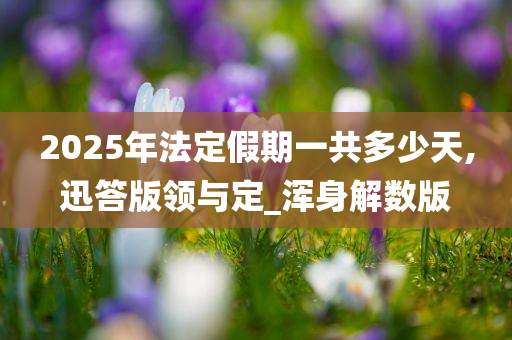 2025年法定假期一共多少天,迅答版领与定_浑身解数版