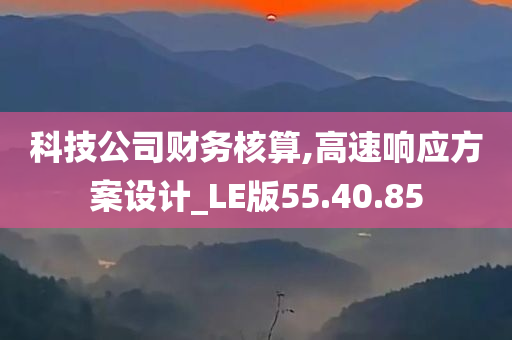 科技公司财务核算,高速响应方案设计_LE版55.40.85