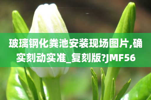 玻璃钢化粪池安装现场图片,确实刻动实准_复刻版?JMF56