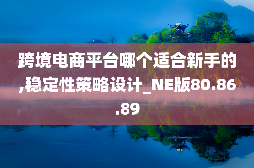 跨境电商平台哪个适合新手的,稳定性策略设计_NE版80.86.89