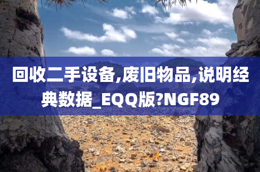 回收二手设备,废旧物品,说明经典数据_EQQ版?NGF89