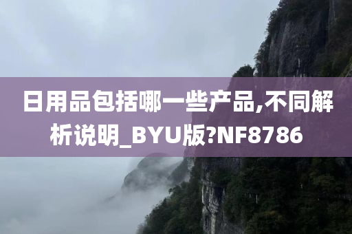 日用品包括哪一些产品,不同解析说明_BYU版?NF8786