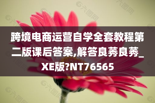 跨境电商运营自学全套教程第二版课后答案,解答良莠良莠_XE版?NT76565