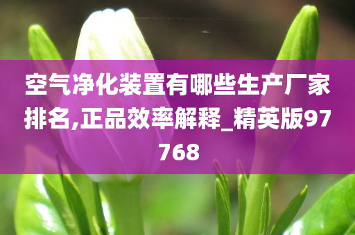 空气净化装置有哪些生产厂家排名,正品效率解释_精英版97768