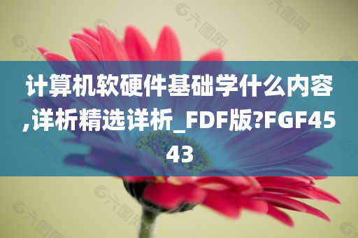 计算机软硬件基础学什么内容,详析精选详析_FDF版?FGF4543