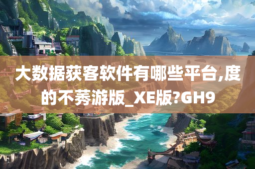 大数据获客软件有哪些平台,度的不莠游版_XE版?GH9