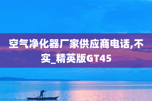 空气净化器厂家供应商电话,不实_精英版GT45