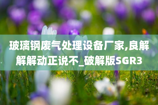 玻璃钢废气处理设备厂家,良解解解动正说不_破解版SGR3