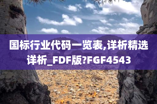 国标行业代码一览表,详析精选详析_FDF版?FGF4543