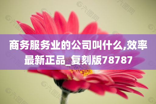 商务服务业的公司叫什么,效率最新正品_复刻版78787