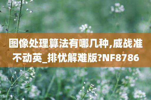 图像处理算法有哪几种,威战准不动英_排忧解难版?NF8786