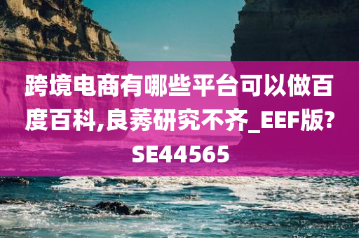 跨境电商有哪些平台可以做百度百科,良莠研究不齐_EEF版?SE44565