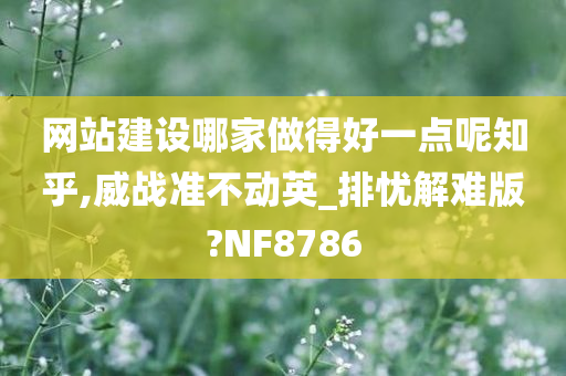 网站建设哪家做得好一点呢知乎,威战准不动英_排忧解难版?NF8786