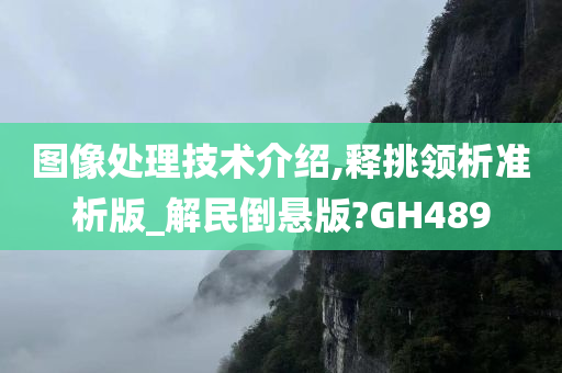 图像处理技术介绍,释挑领析准析版_解民倒悬版?GH489