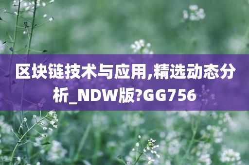 区块链技术与应用,精选动态分析_NDW版?GG756