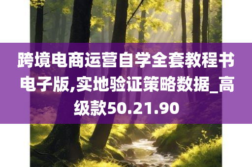 跨境电商运营自学全套教程书电子版,实地验证策略数据_高级款50.21.90