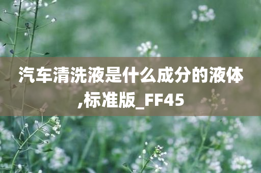 汽车清洗液是什么成分的液体,标准版_FF45