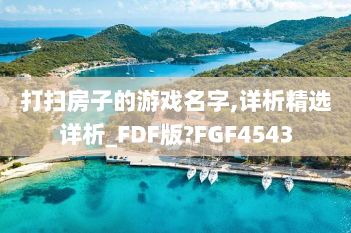 打扫房子的游戏名字,详析精选详析_FDF版?FGF4543