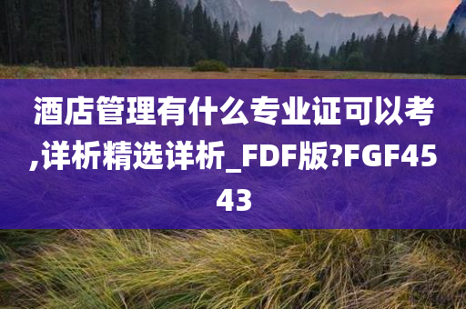 酒店管理有什么专业证可以考,详析精选详析_FDF版?FGF4543