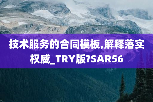 技术服务的合同模板,解释落实权威_TRY版?SAR56