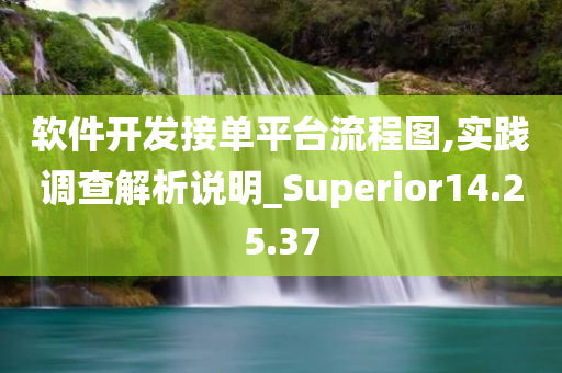 软件开发接单平台流程图,实践调查解析说明_Superior14.25.37