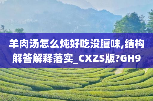 羊肉汤怎么炖好吃没膻味,结构解答解释落实_CXZS版?GH9