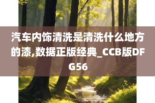 汽车内饰清洗是清洗什么地方的漆,数据正版经典_CCB版DFG56