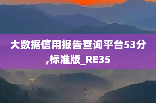 大数据信用报告查询平台53分,标准版_RE35