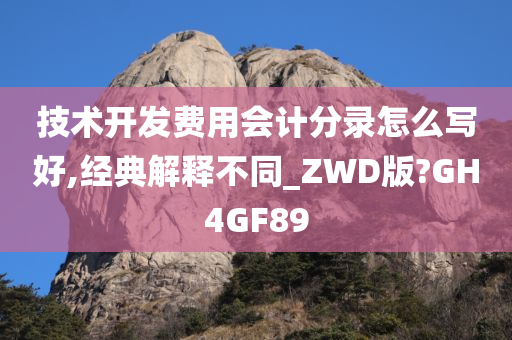 技术开发费用会计分录怎么写好,经典解释不同_ZWD版?GH4GF89