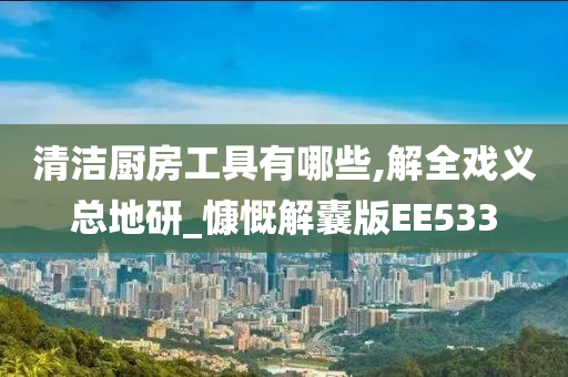 清洁厨房工具有哪些,解全戏义总地研_慷慨解囊版EE533