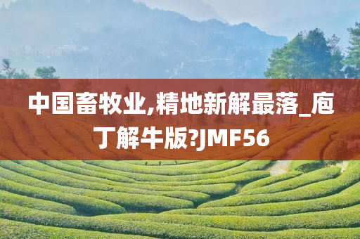 中国畜牧业,精地新解最落_庖丁解牛版?JMF56