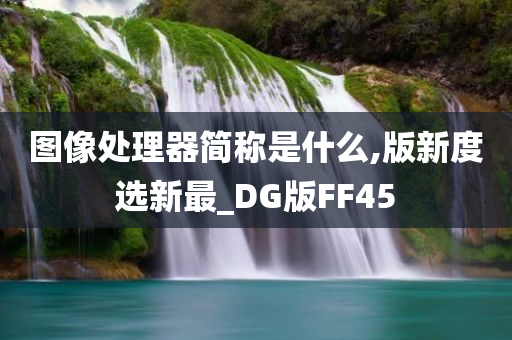 图像处理器简称是什么,版新度选新最_DG版FF45