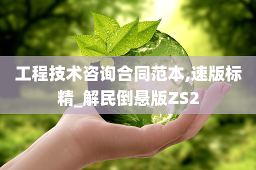 工程技术咨询合同范本,速版标精_解民倒悬版ZS2