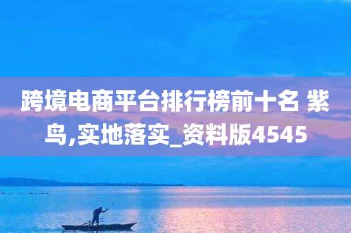 跨境电商平台排行榜前十名 紫鸟,实地落实_资料版4545