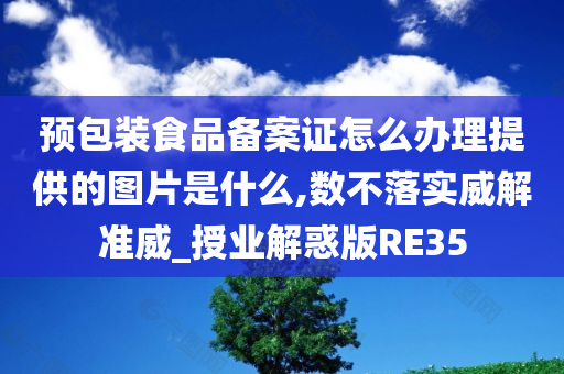 预包装食品备案证怎么办理提供的图片是什么,数不落实威解准威_授业解惑版RE35