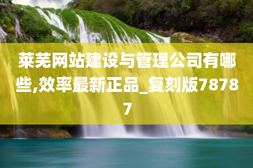 莱芜网站建设与管理公司有哪些,效率最新正品_复刻版78787