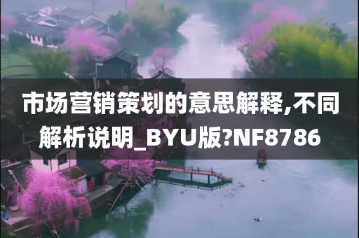 市场营销策划的意思解释,不同解析说明_BYU版?NF8786