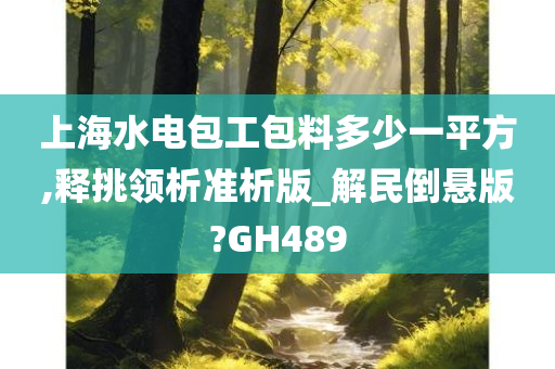 上海水电包工包料多少一平方,释挑领析准析版_解民倒悬版?GH489