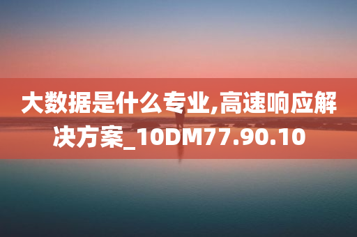 大数据是什么专业,高速响应解决方案_10DM77.90.10