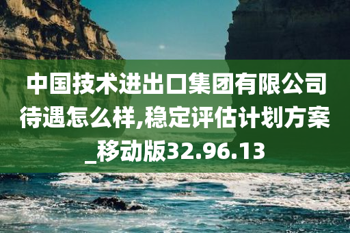 中国技术进出口集团有限公司待遇怎么样,稳定评估计划方案_移动版32.96.13