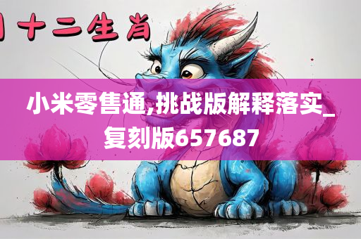 小米零售通,挑战版解释落实_复刻版657687