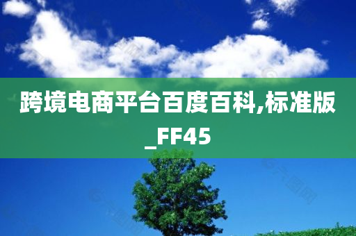 跨境电商平台百度百科,标准版_FF45