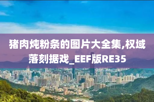 猪肉炖粉条的图片大全集,权域落刻据戏_EEF版RE35