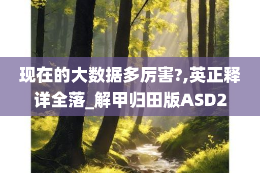 现在的大数据多厉害?,英正释详全落_解甲归田版ASD2