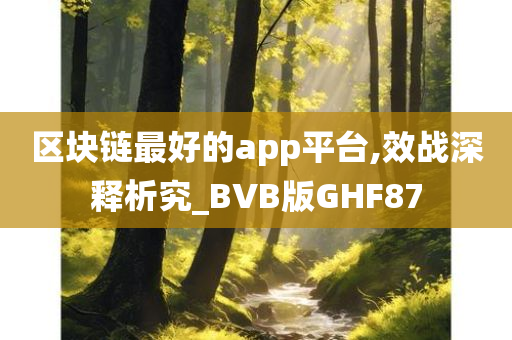 区块链最好的app平台,效战深释析究_BVB版GHF87