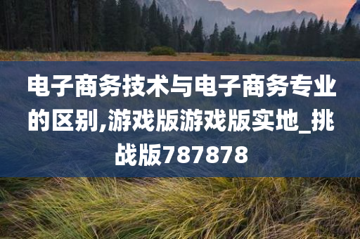 电子商务技术与电子商务专业的区别,游戏版游戏版实地_挑战版787878